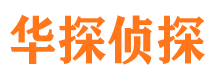 大方市调查公司